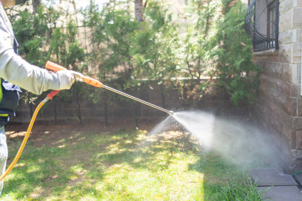 Spider Control Near Me in Wake Forest, NC