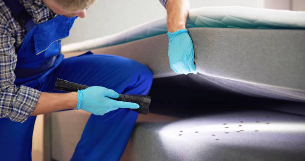 Best Termite Control Services  in Wake Forest, NC