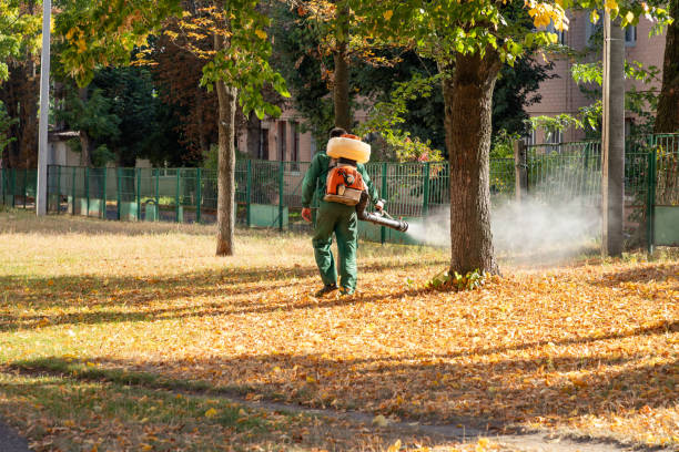 Best Pest Prevention Services  in Wake Forest, NC
