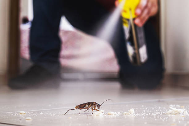 Best Pest Inspection Near Me  in Wake Forest, NC